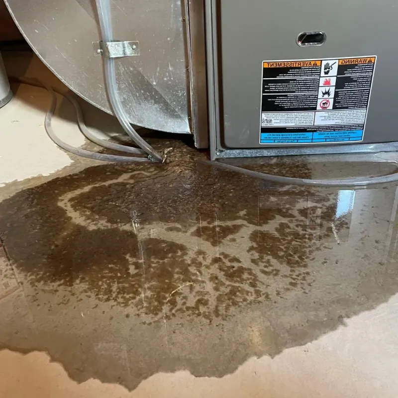 Pipe Burst and Leak Restoration in Myerstown, PA